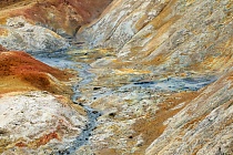 Das Geothermalgebiet rund um den Berg Namafjall im Norden Islands ist reich an Dampfquellen (Solfataren und Fumarolen), die in bunten Farben aus der Einöde der Tundrenlandschaft hervorstechen.