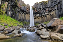 Der Svartifoss fällt über eine hohe Wand aus Basaltsäulen.