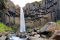 Der Svartifoss fällt über eine hohe Wand aus Basaltsäulen.